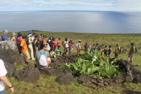 Rescatar la flora endémica y nativa de Rapa Nui Rescatar la flora endémica y nativa de Rapa Nui
