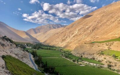 Cumbre del Pisco rumbo a declaratoria como paisaje cultural vitivinícola