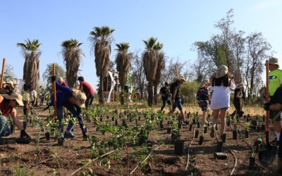 Con plantación comunitaria MIM abrió Jardín Interactivo Adriana Hoffmann