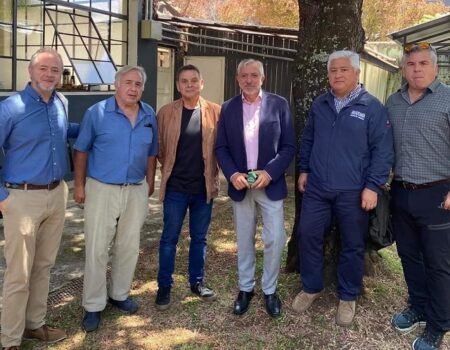 Muestra “Desde los orígenes hasta el corazón del Volcán Villarrica”