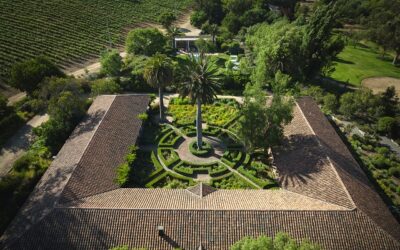 Viña Matetic ganó Medalla de Oro Internacional en Turismo Sustentable