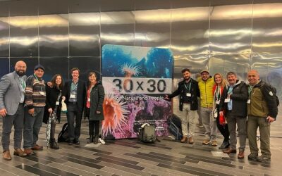 Chile mostró avances en gestión de áreas protegidas en la COP 15