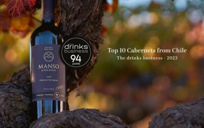 Manso de Velasco entre los 10 mejores cabernet sauvignon de Chile