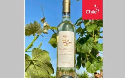 Vino del Desierto se incorpora a Programa de Uso de Marca Chile