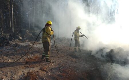 Incendios forestales