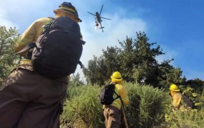 Gran despliegue de recursos en combate a incendios forestales