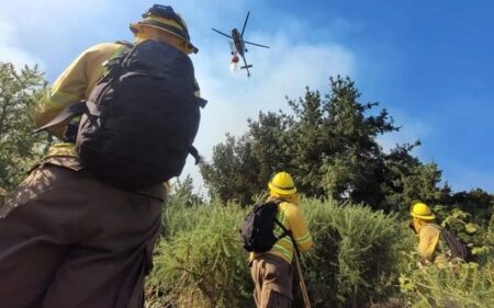 Incendios forestales Incendios forestales
