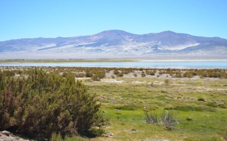 Parque Nacional Salar del Huasco