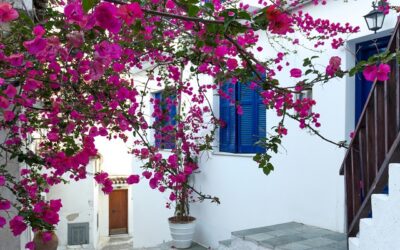 OMT abre la convocatoria para los Best Tourism Villages de 2023