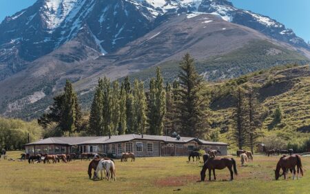 Las Torres Patagonia 