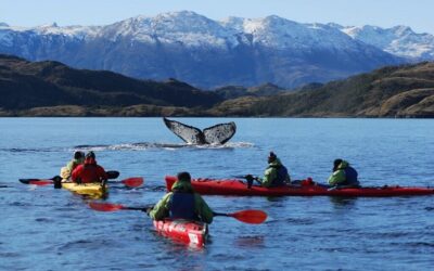 Sernatur lanza campaña “Turismo todo el año” en la Región de Magallanes