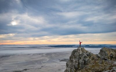 El boom del turismo de “intereses especiales” en Tierra del Fuego