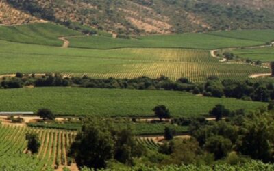 Sernatur patrocina espacio radial con relatos de guías de turismo