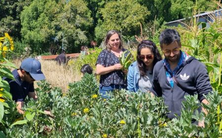 Chefs de Movimiento 100K en Calbuco