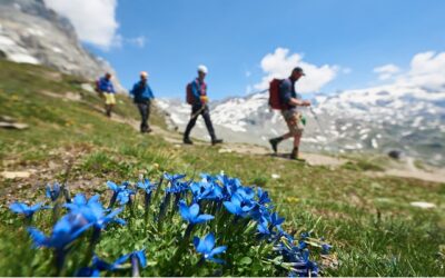 Nuevo informe destaca el potencial del turismo para los ecosistemas