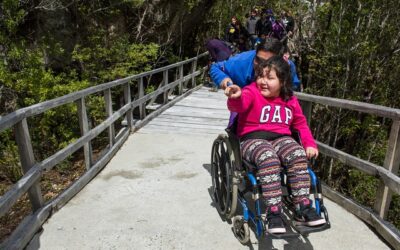 Conversatorio destacó trabajo de CONAF en accesibilidad universal