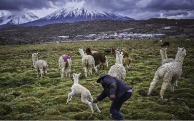 Elegidos ganadores del VII Concurso de Fotografía Turística de APTUR Chile