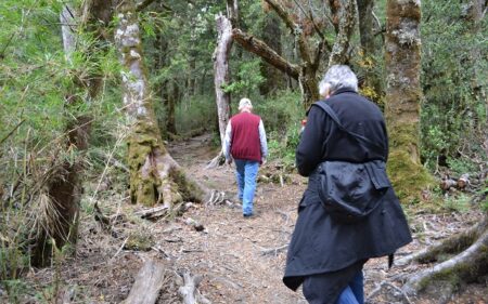 Parque Nacional Alerce Costero