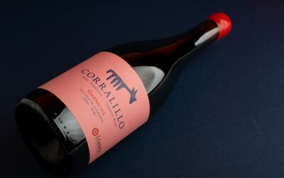 Viña Matetic lanza Corralillo Garnacha 2020 en un exclusivo evento