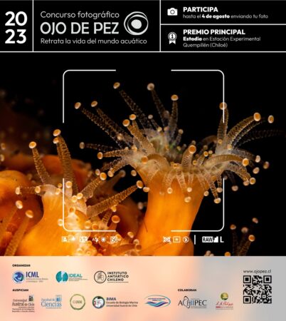 Concurso fotográfico “Ojo de Pez: Retrata la vida del mundo acuático”