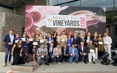 Siete viñas chilenas elegidas entre las 50 mejores a nivel mundial