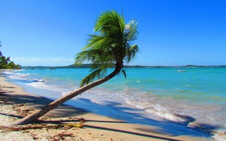 Praia dos Carneiros
