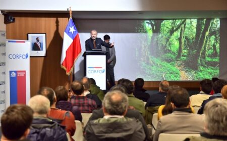 Gobernador regional de Los Lagos, Patricio Vallespín