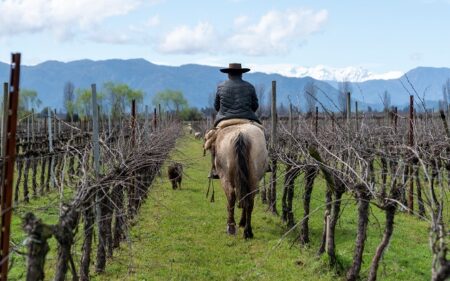 Agricultura regenerativa