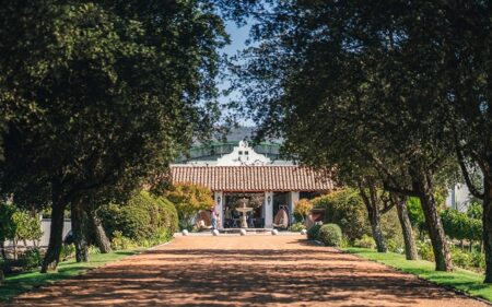 Viña Casas del Bosque