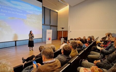 Programa Estratégico Meso Regional “Ruta de los Parques de la Patagonia”