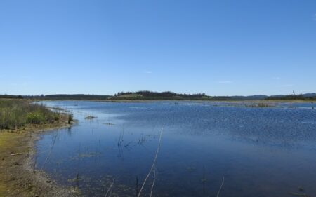 Lago Peñuelas, Región de Valparaíso