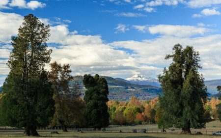 Parque Nacional Villarrica