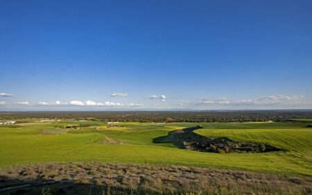 “Mar de pinares”