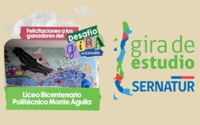 Colegio del Biobío ganó viaje de estudios en concurso de Sernatur