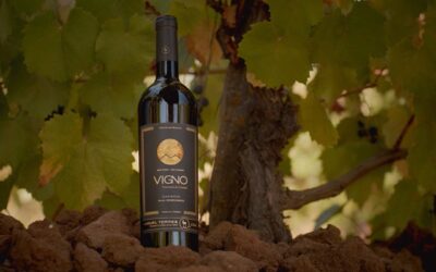 VIGNO de Familia Torres en Chile entre los Top 100 de Wine Spectator