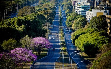 Brasilia 