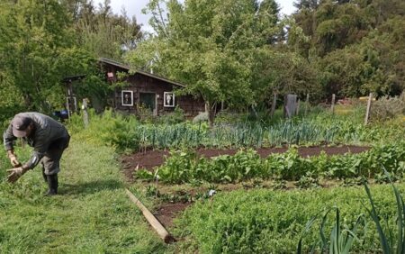 Huerta 100K en el entorno del lago Llanquihue