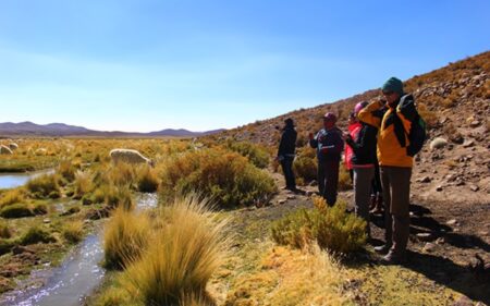 Parque Nacional Volcán Isluga