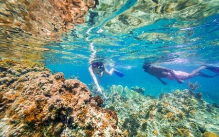 Excursión de snorkel o buceo