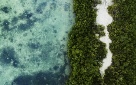 Día Mundial del Agua