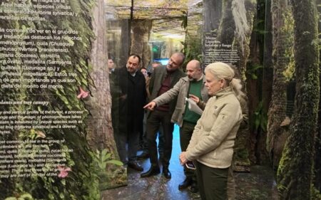 Centro de Visitantes del Parque Nacional Pumalín Douglas Tompkins