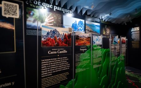 Centro de Visitantes del Parque Nacional Pumalín Douglas Tompkins