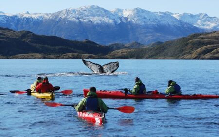 Destino Punta Arenas