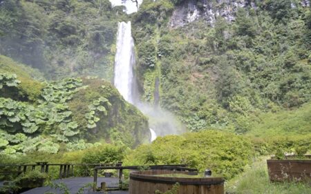 Salto El León