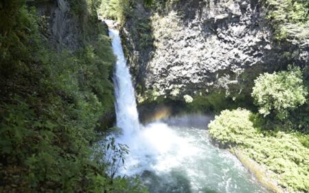 Salto Palguín