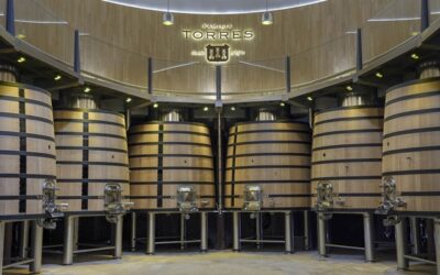 Familia Torres: la marca de vino más admirada del mundo en 2024