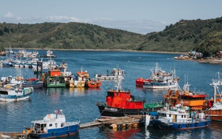 Cuenca del Lago Llanquihue 