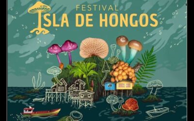 Primer Festival Isla de Hongos se desarrolla en Castro, Chiloé