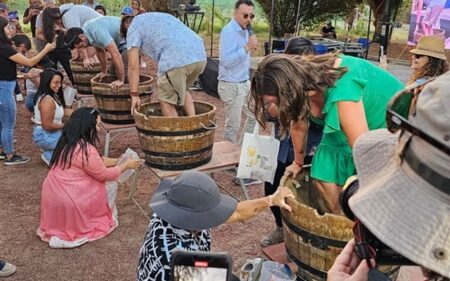 Fiesta de la Vendimia del Vino del Desierto