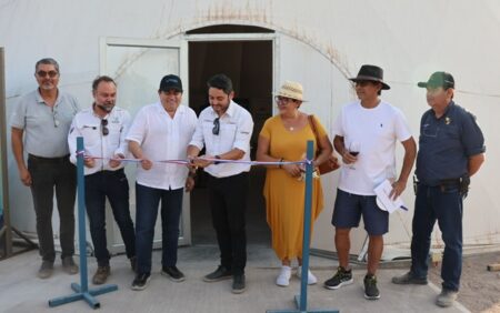 Fiesta de la Vendimia del Vino del Desierto